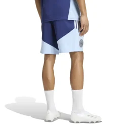 adidas Ajax Zomerset 2026-2027 Lichtblauw Donkerblauw