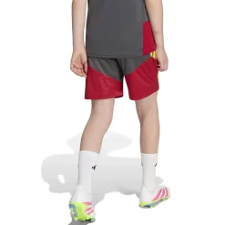 adidas AS Roma Trainingsset 2026-2027 Kids Donkergrijs Rood Oranje