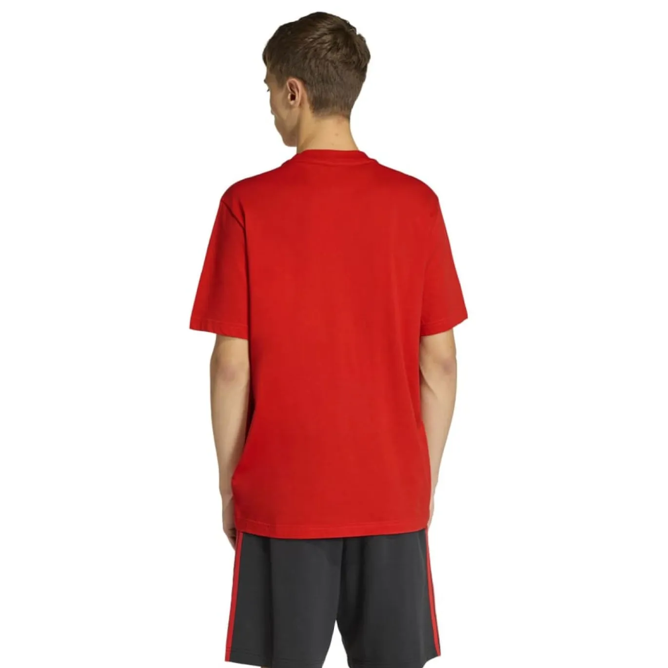 adidas België DNA Graphic T-Shirt 2026-2028 Rood Zwart