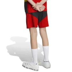 adidas België Trainingsbroekje 2026-2028 Kids Zwart Geel Rood