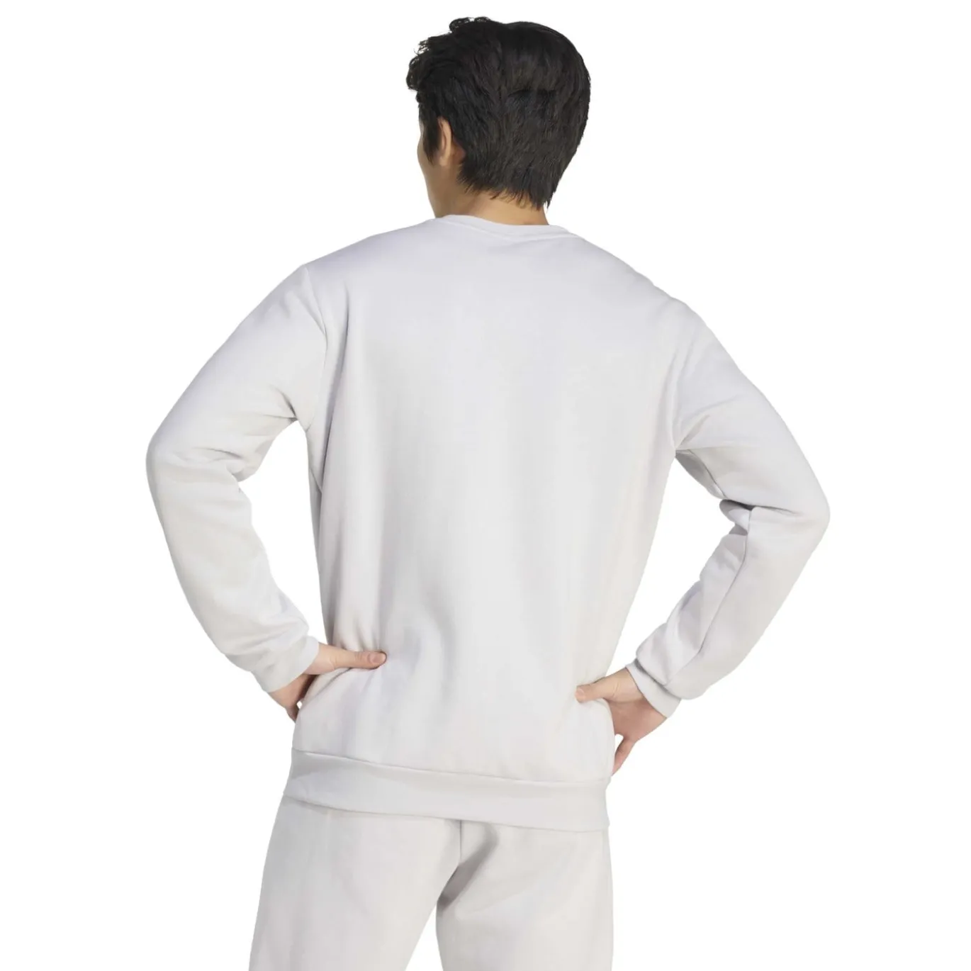 adidas Entrada 26 Crew Sweater Joggingpak Grijs Wit