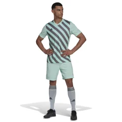 adidas Entrada 22 Graphic Voetbalshirt Lichtgroen Grijs