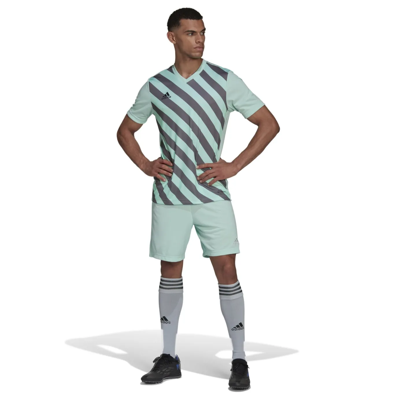 adidas Entrada 22 Graphic Voetbalshirt Lichtgroen Grijs