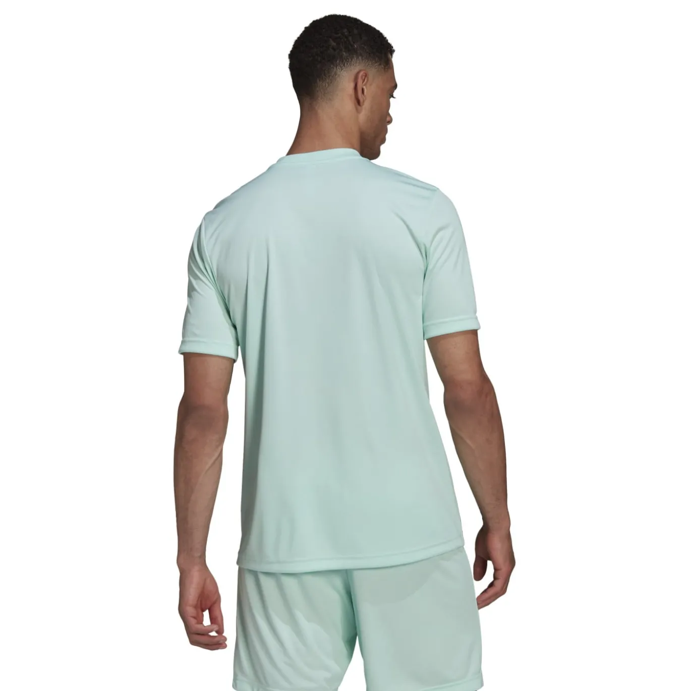 adidas Entrada 22 Graphic Voetbalshirt Lichtgroen Grijs