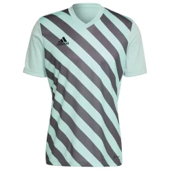 adidas Entrada 22 Graphic Voetbalshirt Lichtgroen Grijs