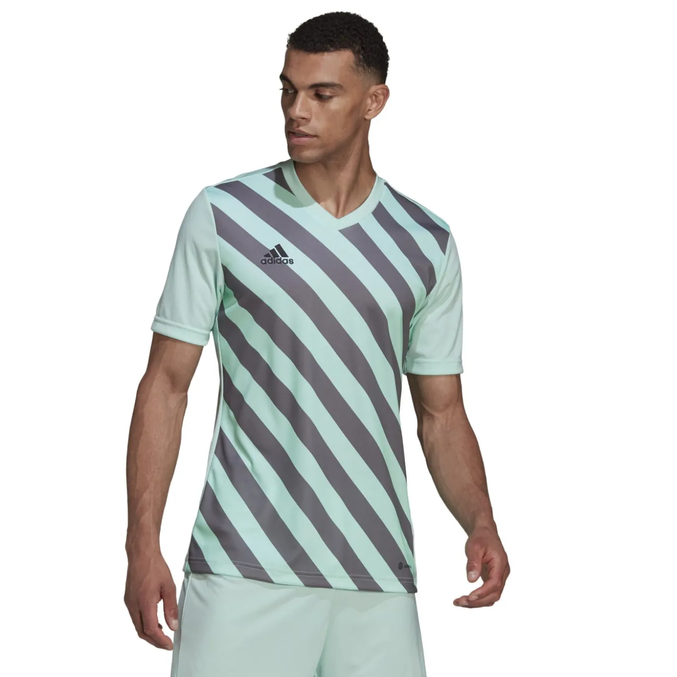 adidas Entrada 22 Graphic Voetbalshirt Lichtgroen Grijs