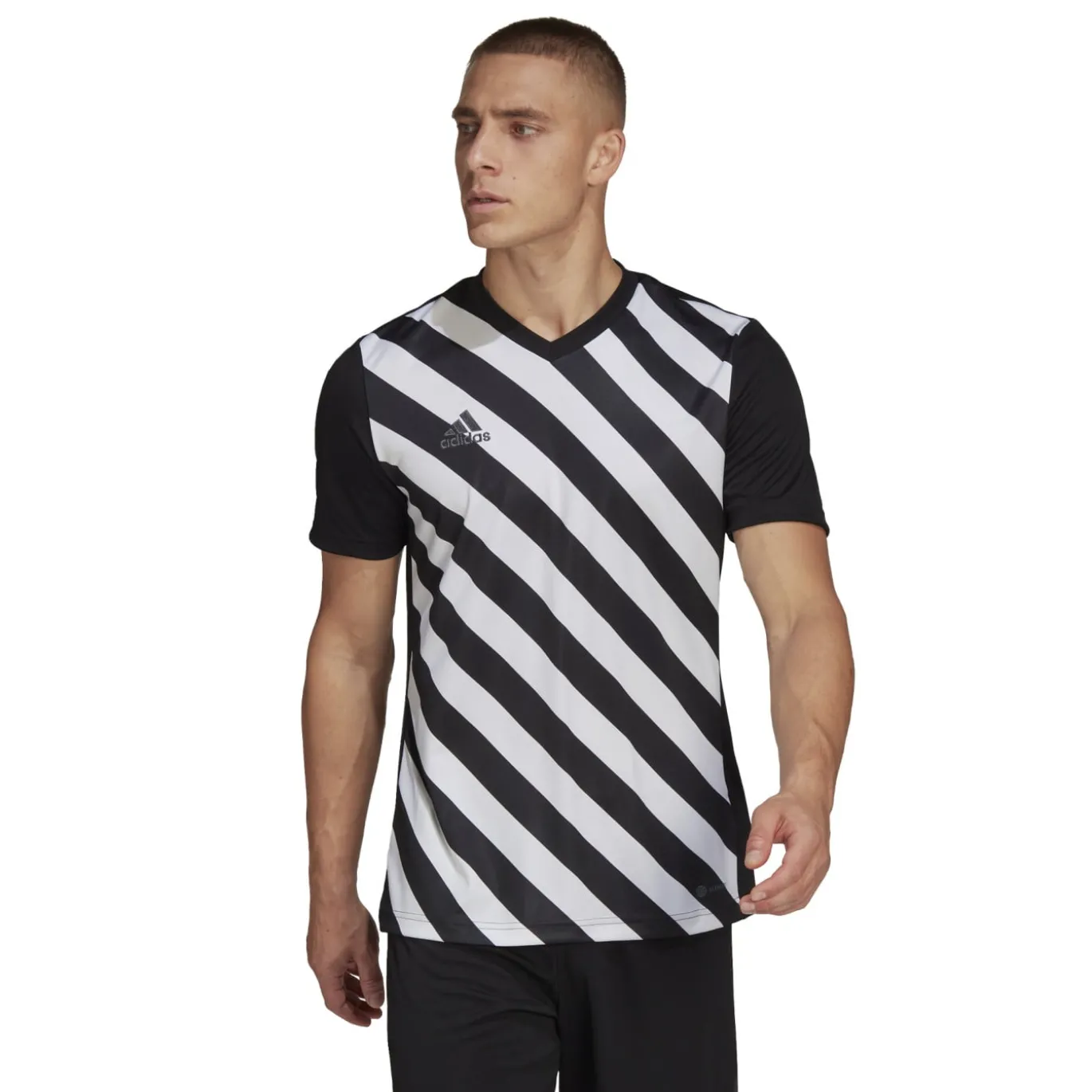 adidas Entrada 22 Graphic Voetbalshirt Zwart Wit