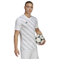 adidas Entrada 22 Graphic Voetbalshirt Wit Grijs