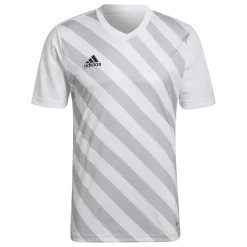 adidas Entrada 22 Graphic Voetbalshirt Wit Grijs