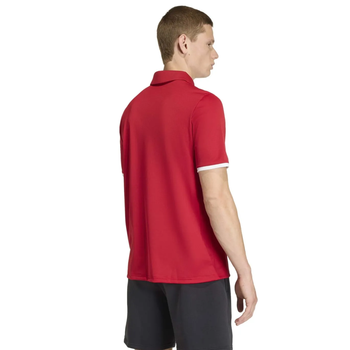 adidas Entrada 26 Polo Trainingsset Rood Wit