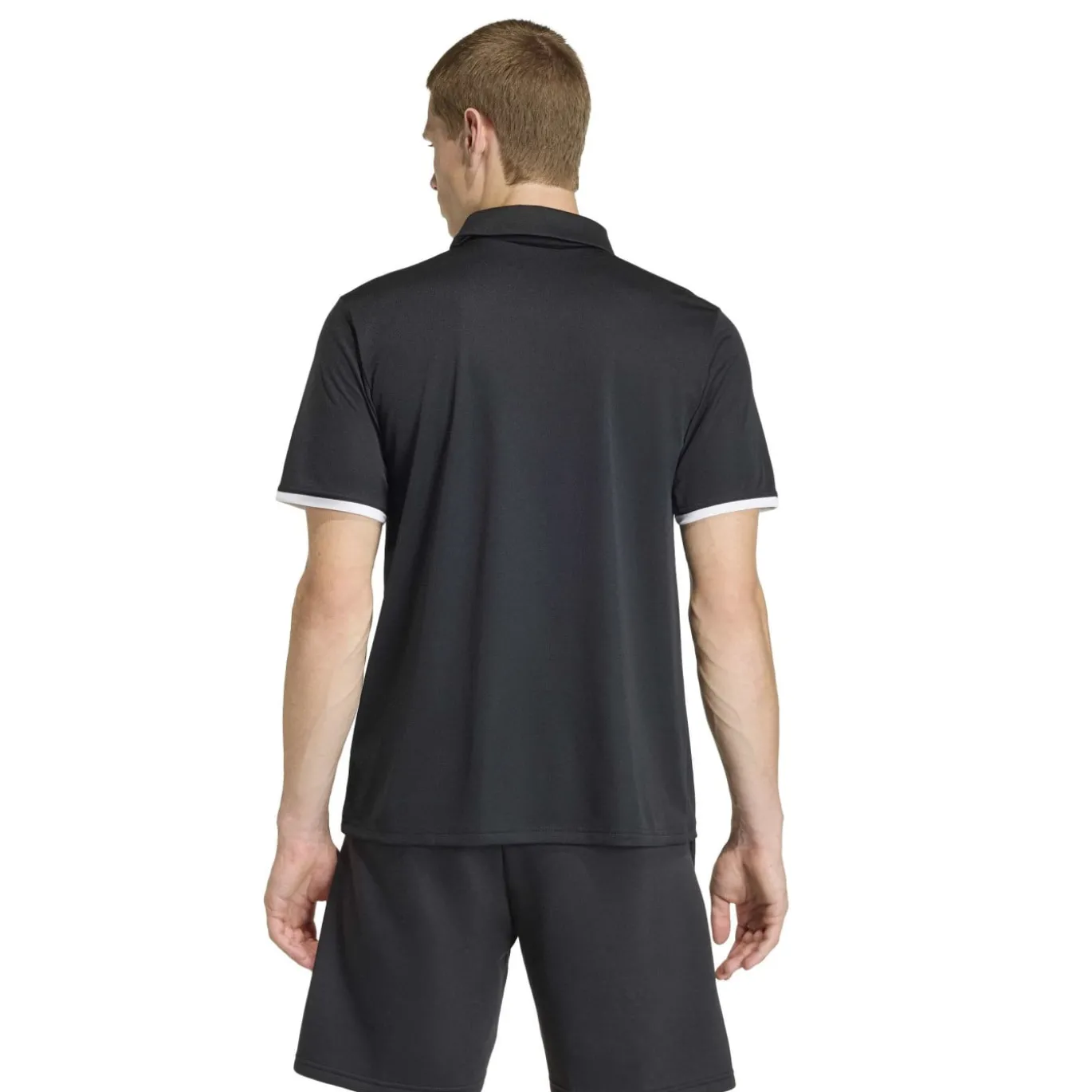 adidas Entrada 26 Polo Zwart Wit