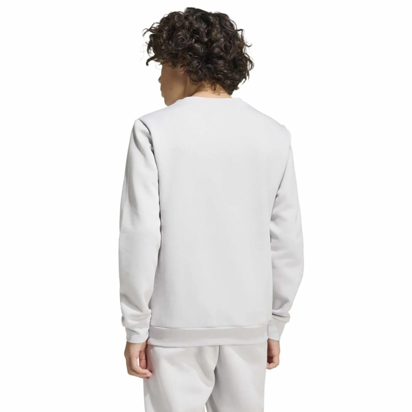 adidas Entrada 26 Sweater Kids Grijs Wit