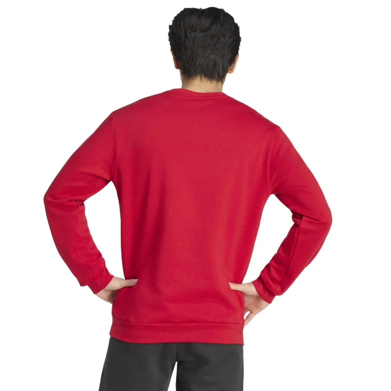 adidas Entrada 26 Sweater Rood Wit
