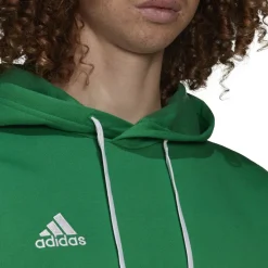 adidas Entrada 22 Sweat Hoodie Groen