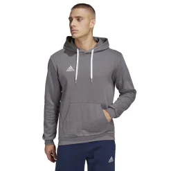 adidas Entrada 22 Sweat Hoodie Grijs Wit