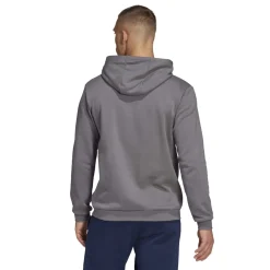 adidas Entrada 22 Sweat Hoodie Grijs Wit