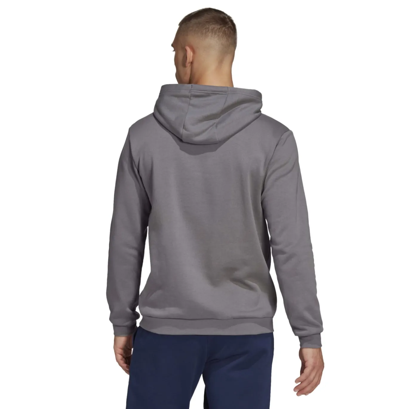 adidas Entrada 22 Sweat Hoodie Grijs Wit