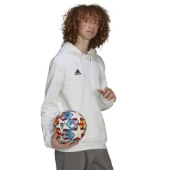 adidas Entrada 22 Sweat Hoodie Wit Zwart