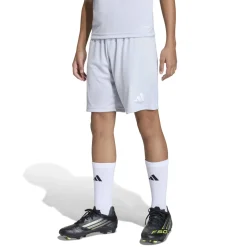 adidas Entrada 26 Voetbalbroekje Kids Grijs Wit