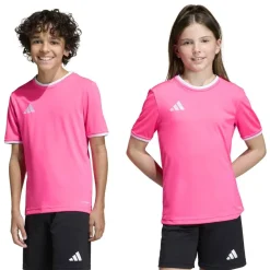 adidas Entrada 26 Voetbalshirt Kids Lichtroze Wit