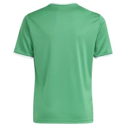 adidas Entrada 26 Voetbalshirt Kids Groen Wit