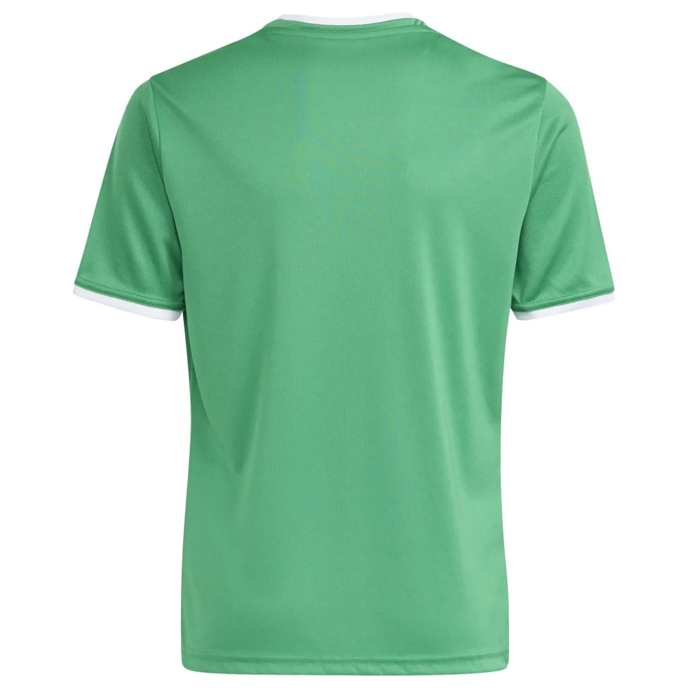 adidas Entrada 26 Voetbalshirt Kids Groen Wit