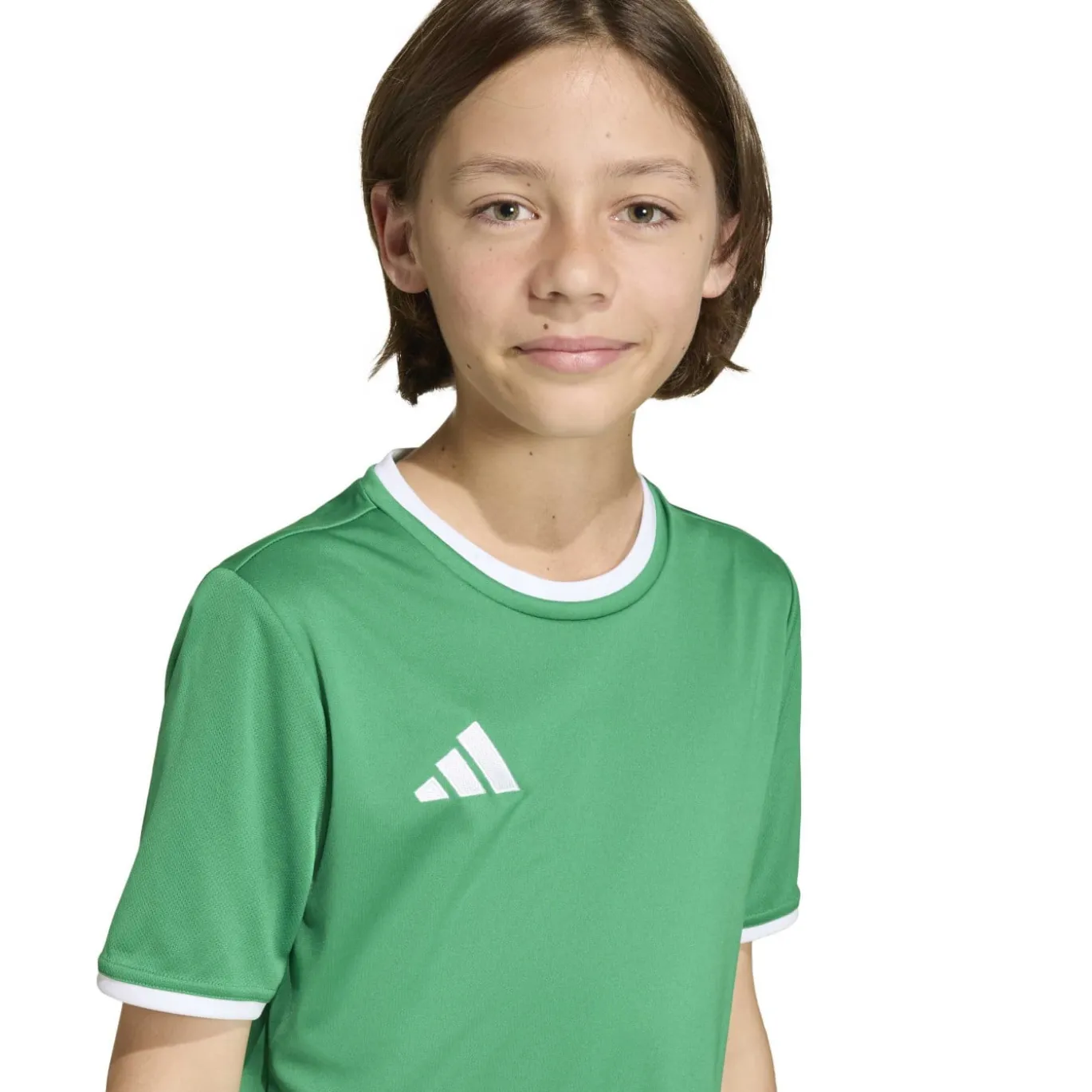 adidas Entrada 26 Voetbalshirt Kids Groen Wit
