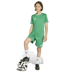 adidas Entrada 26 Voetbalshirt Kids Groen Wit
