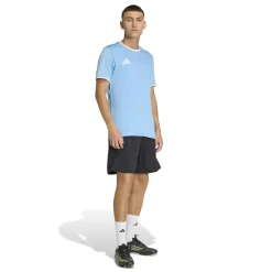 adidas Entrada 26 Voetbalshirt Lichtblauw Wit