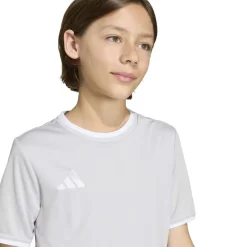 adidas Entrada 26 Voetbalshirt Kids Grijs Wit