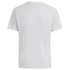 adidas Entrada 26 Voetbalshirt Kids Grijs Wit