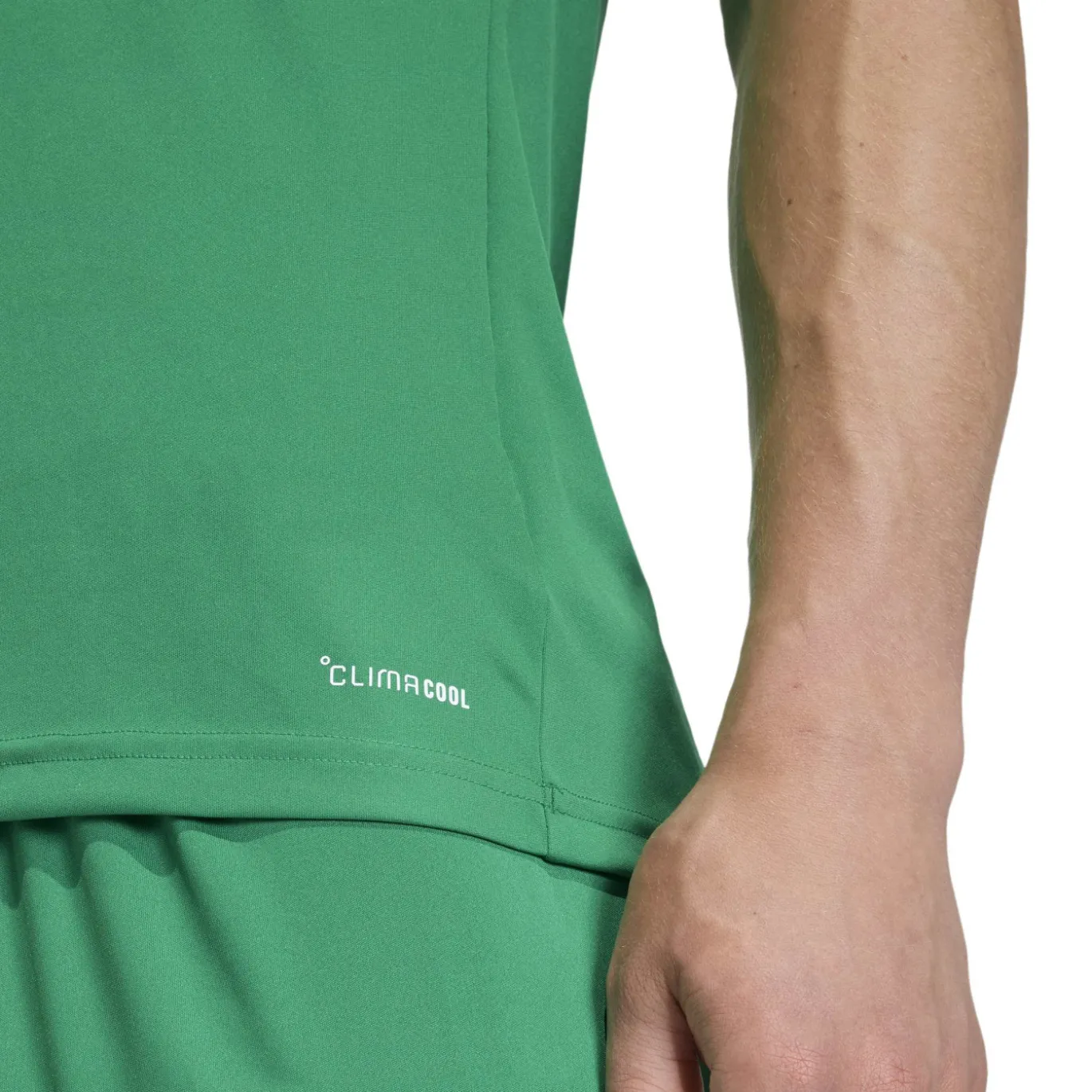 adidas Entrada 26 Voetbalshirt Groen Wit