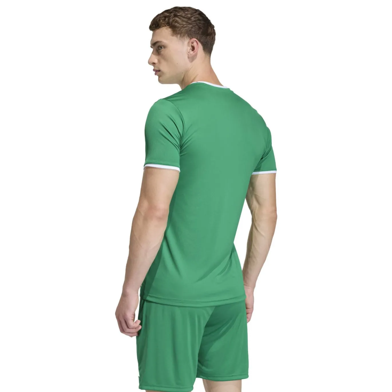 adidas Entrada 26 Voetbalshirt Groen Wit