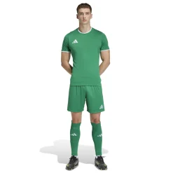 adidas Entrada 26 Voetbalshirt Groen Wit