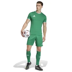 adidas Entrada 26 Voetbalshirt Groen Wit