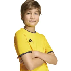 adidas Entrada 26 Voetbalshirt Kids Geel Zwart