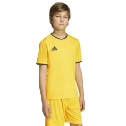adidas Entrada 26 Voetbalshirt Kids Geel Zwart