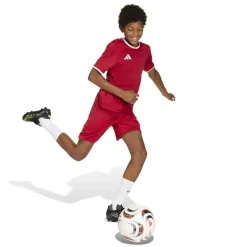 adidas Entrada 26 Voetbalshirt Kids Rood Wit