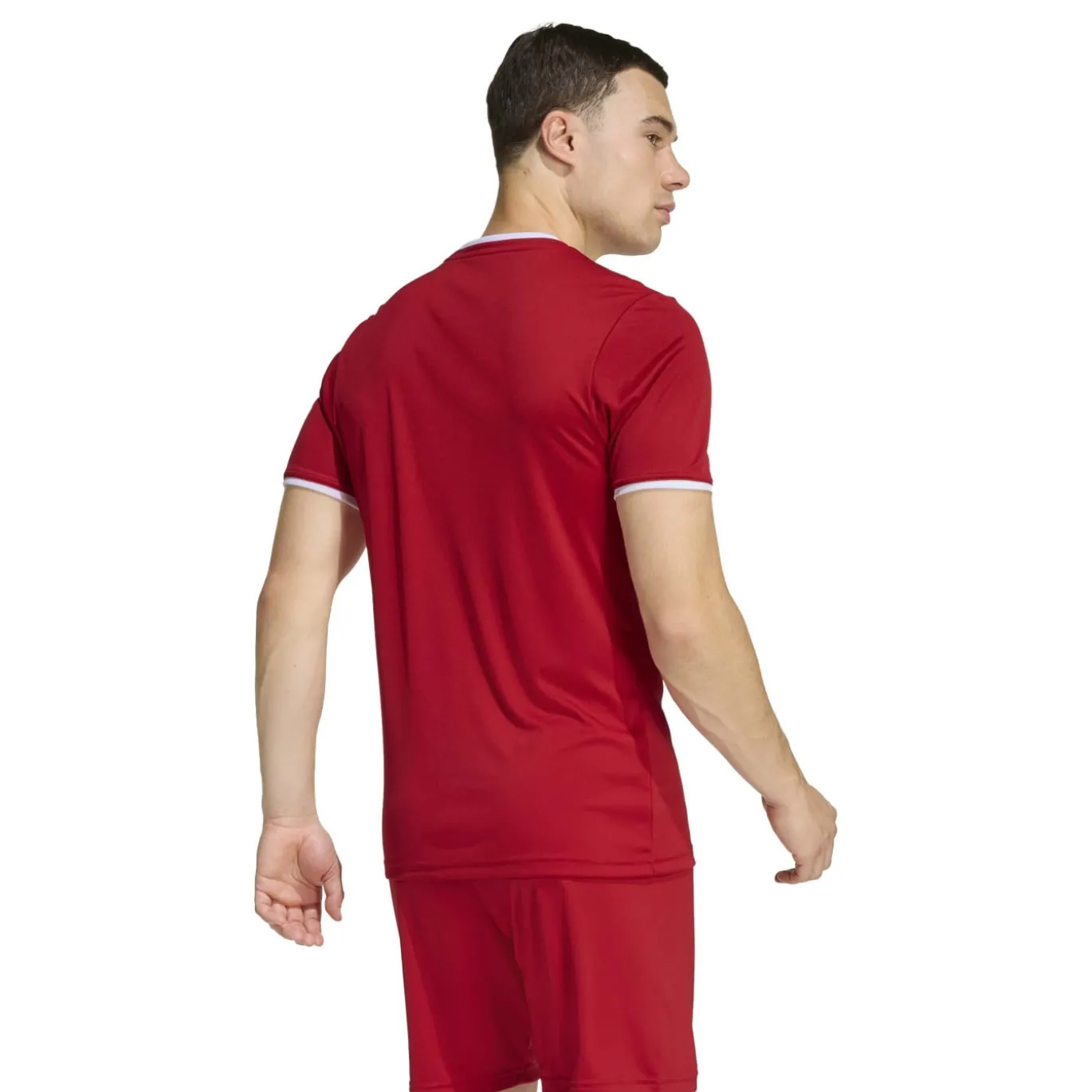 adidas Entrada 26 Voetbalshirt Rood Wit