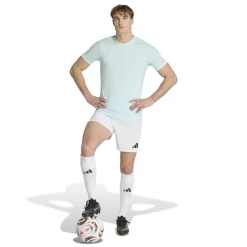 adidas Entrada 26 Voetbalshirt Mintgroen Wit