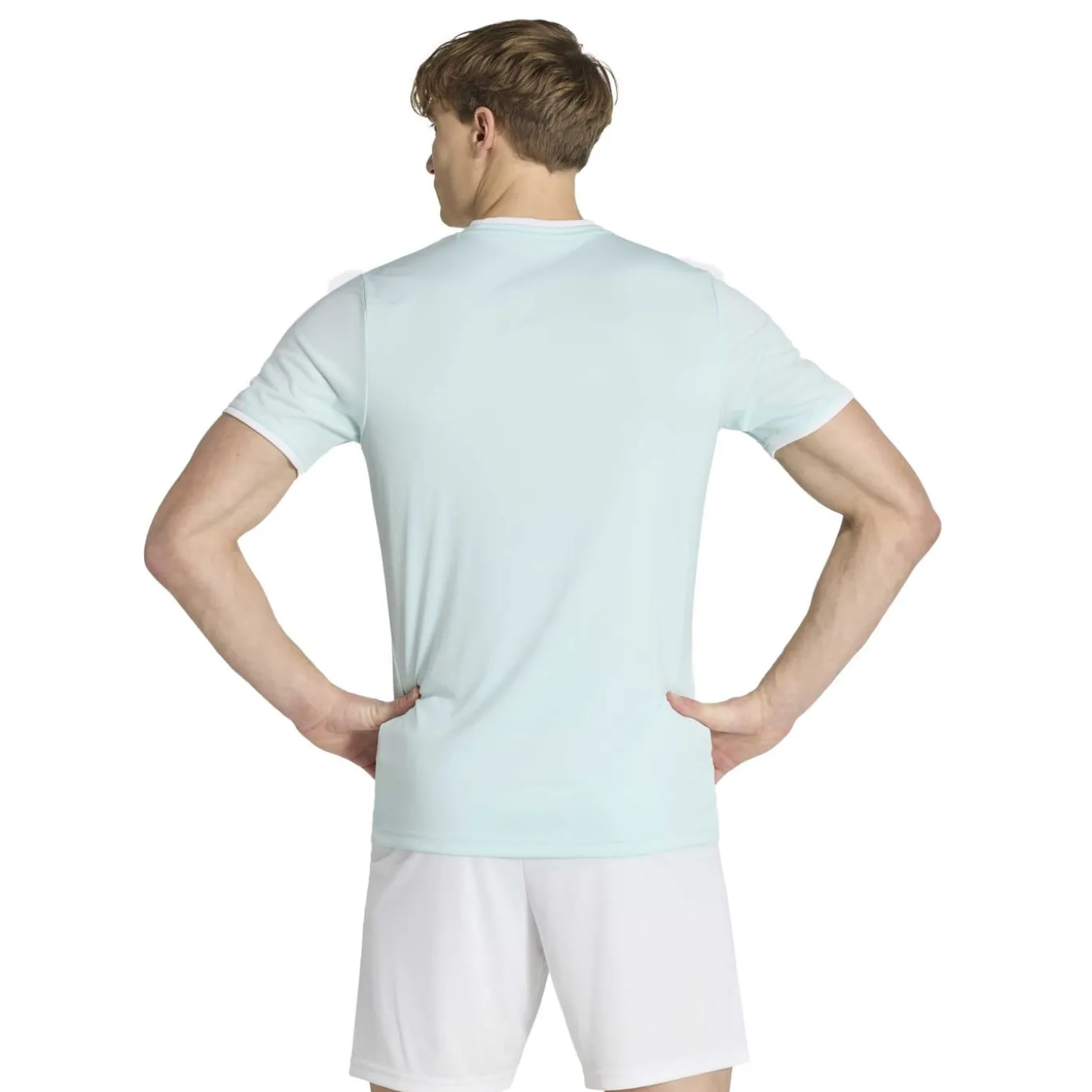 adidas Entrada 26 Voetbalshirt Mintgroen Wit