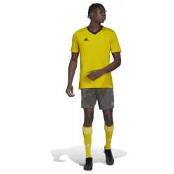 adidas Entrada 22 Voetbalshirt Geel Zwart
