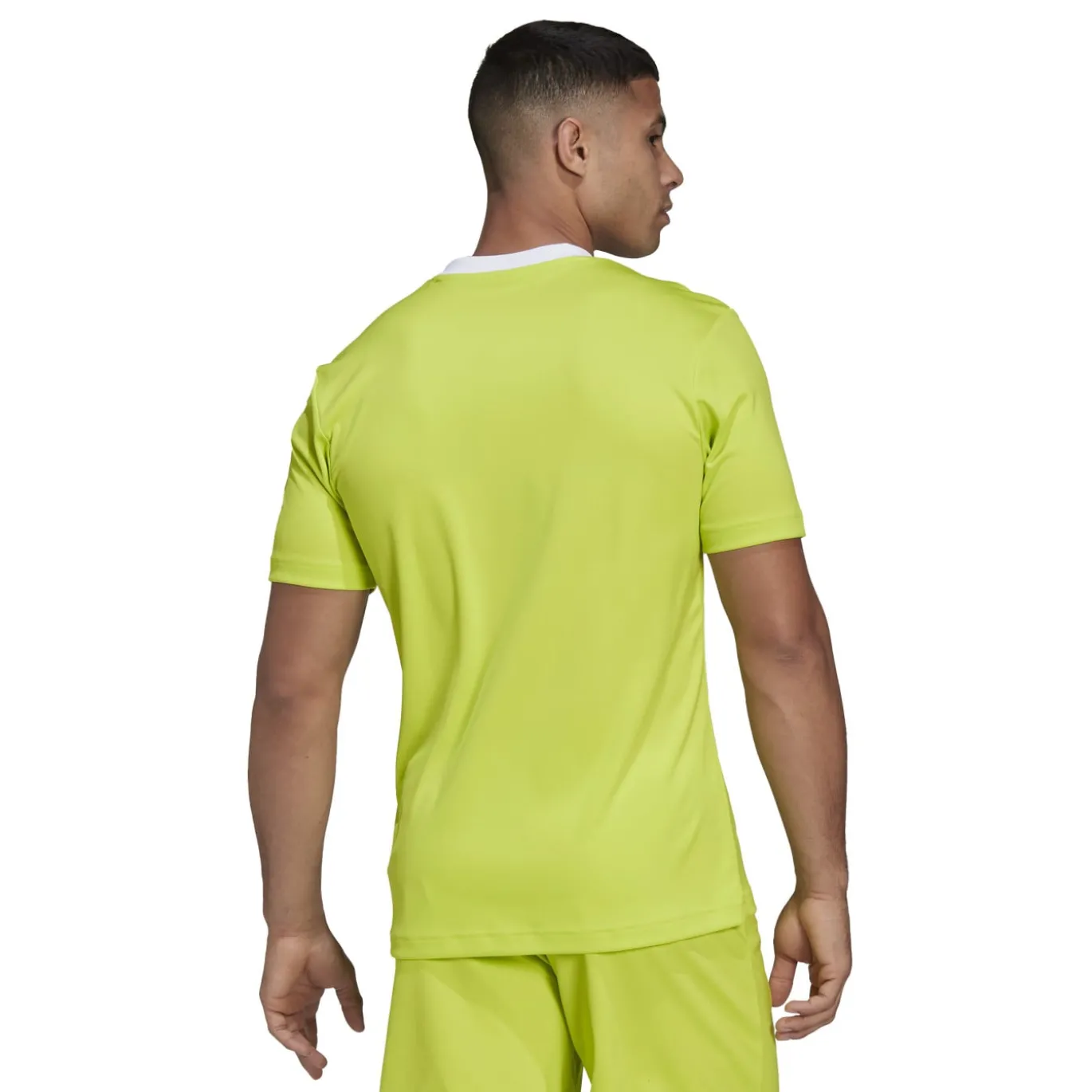 adidas Entrada 22 Voetbalshirt Geel Wit