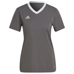 adidas Entrada 22 Voetbalshirt Dames Grijs Wit