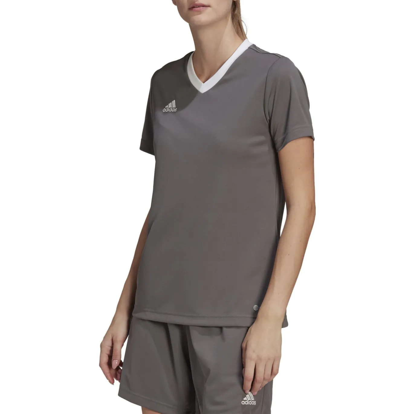 adidas Entrada 22 Voetbalshirt Dames Grijs Wit