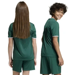adidas Entrada 26 Voetbalshirt Kids Donkergroen Wit