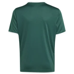 adidas Entrada 26 Voetbalshirt Kids Donkergroen Wit