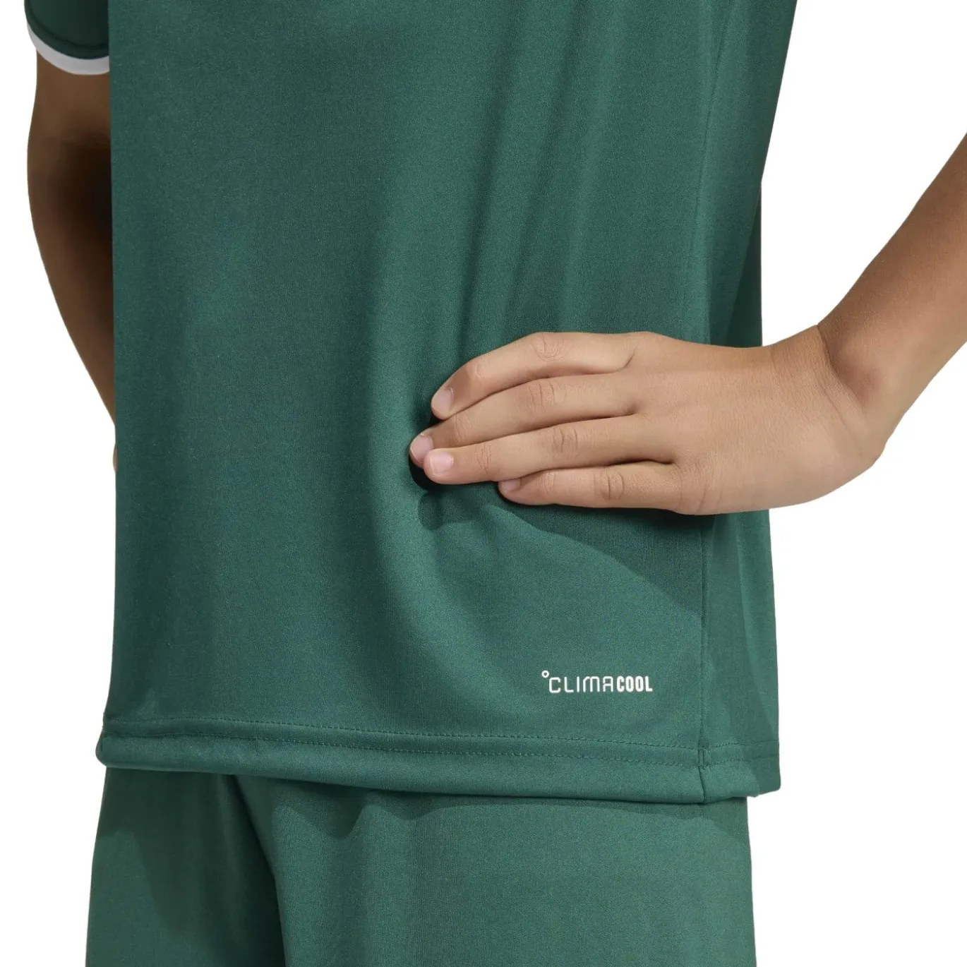 adidas Entrada 26 Voetbalshirt Kids Donkergroen Wit