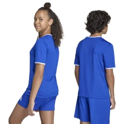 adidas Entrada 26 Voetbalshirt Kids Blauw Wit