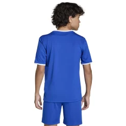 adidas Entrada 26 Voetbalshirt Kids Blauw Wit